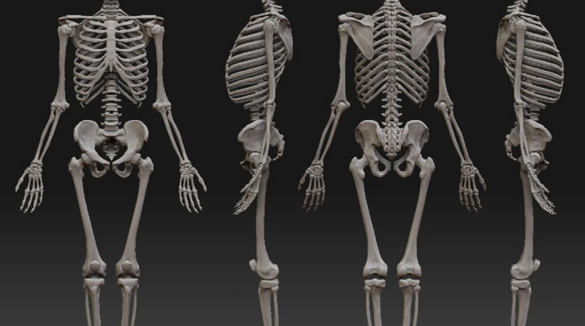 Ученые ПНИПУ разработали систему для регенерации костей человека и изготовили ушные протезы с помощью 3D-Печати